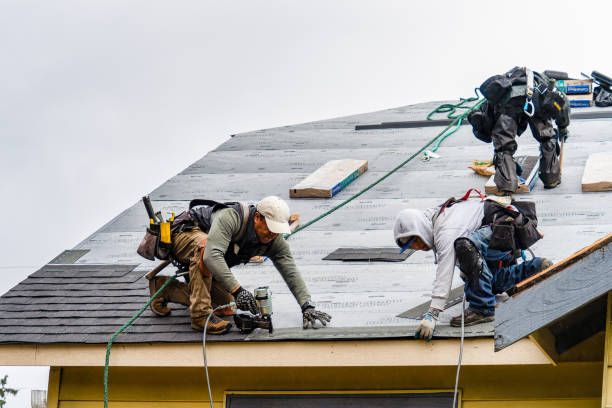 Professional Storm Damage Roof Repair technician working in Postville, IA